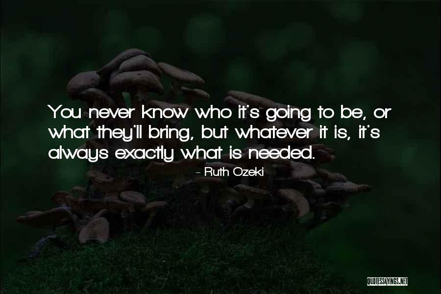 Brizee Quotes By Ruth Ozeki Brizee Quotes By Ruth Ozeki