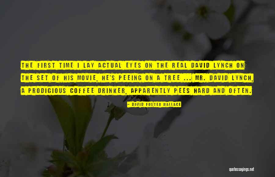 Brizo Rook Quotes By David Foster Wallace Brizo Rook Quotes By David Foster Wallace