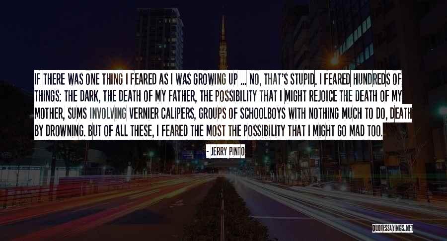 Brizuela Law Quotes By Jerry Pinto Brizuela Law Quotes By Jerry Pinto