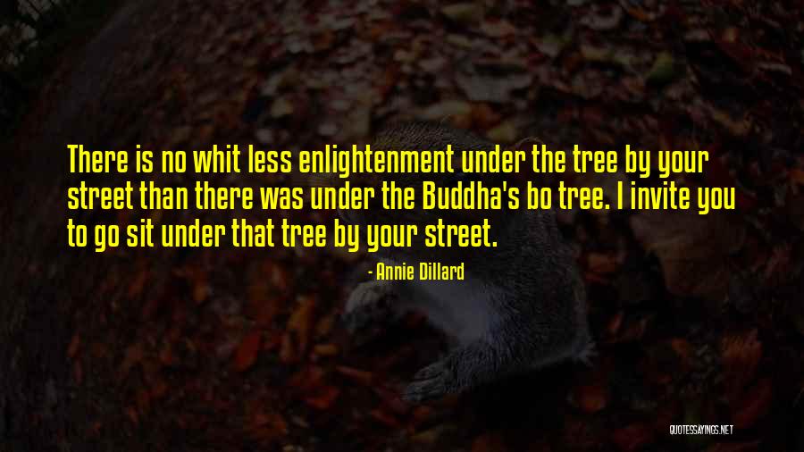 Brizzi Basketball Quotes By Annie Dillard Brizzi Basketball Quotes By Annie Dillard