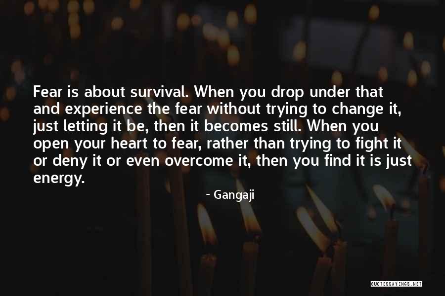 Brnie Quotes By Gangaji Brnie Quotes By Gangaji