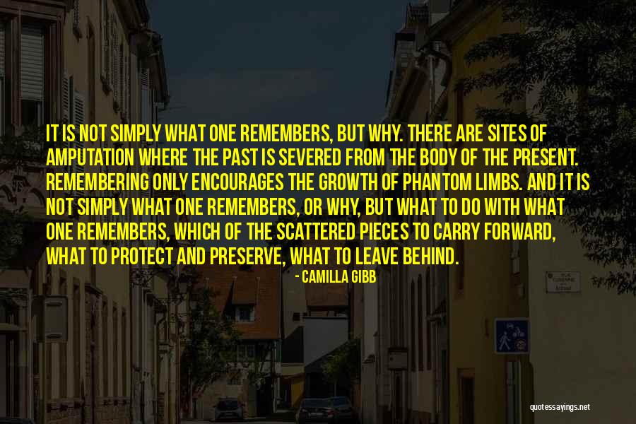 Brnu Virus Quotes By Camilla Gibb Brnu Virus Quotes By Camilla Gibb