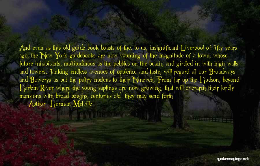 Broad Street Quotes By Herman Melville