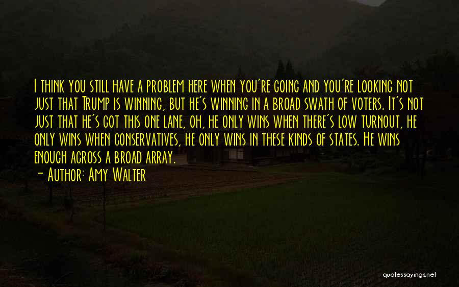 Broad Thinking Quotes By Amy Walter