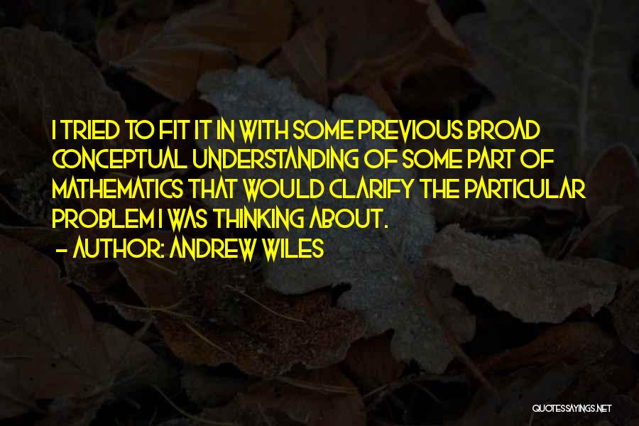 Broad Thinking Quotes By Andrew Wiles