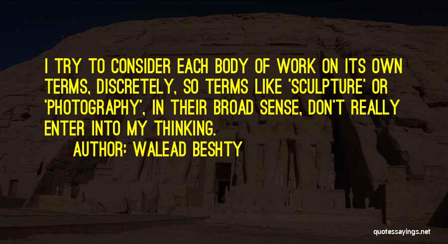 Broad Thinking Quotes By Walead Beshty