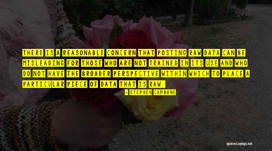 Broader Perspective Quotes By Stephen Cambone Broader Perspective Quotes By Stephen Cambone