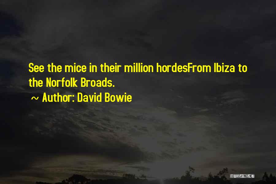 Broads Quotes By David Bowie