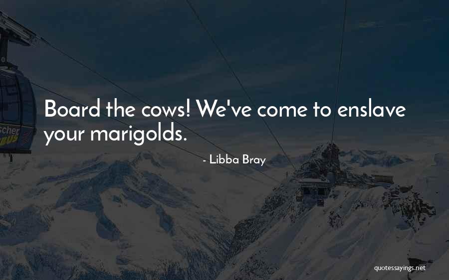 Broadside Wine Quotes By Libba Bray Broadside Wine Quotes By Libba Bray