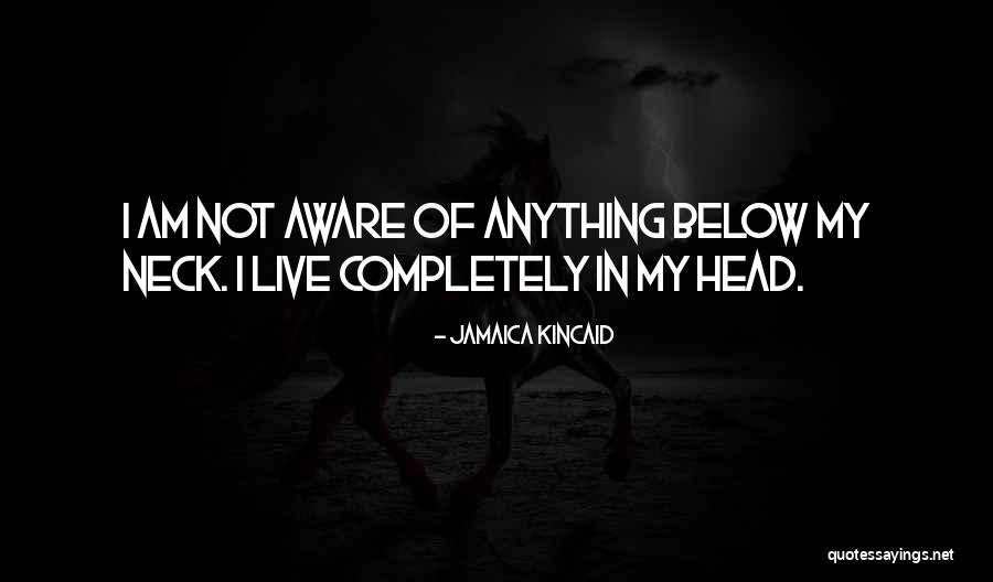 Broadstreet Collection Quotes By Jamaica Kincaid Broadstreet Collection Quotes By Jamaica Kincaid