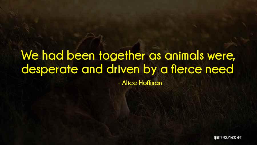 Brockdorff Circle Quotes By Alice Hoffman Brockdorff Circle Quotes By Alice Hoffman