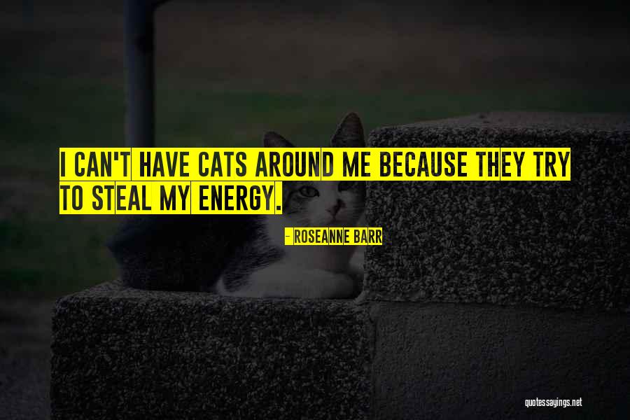 Brodbeck Ironworks Quotes By Roseanne Barr Brodbeck Ironworks Quotes By Roseanne Barr