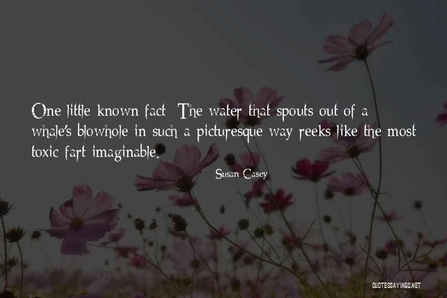 Broddadalsa Quotes By Susan Casey Broddadalsa Quotes By Susan Casey