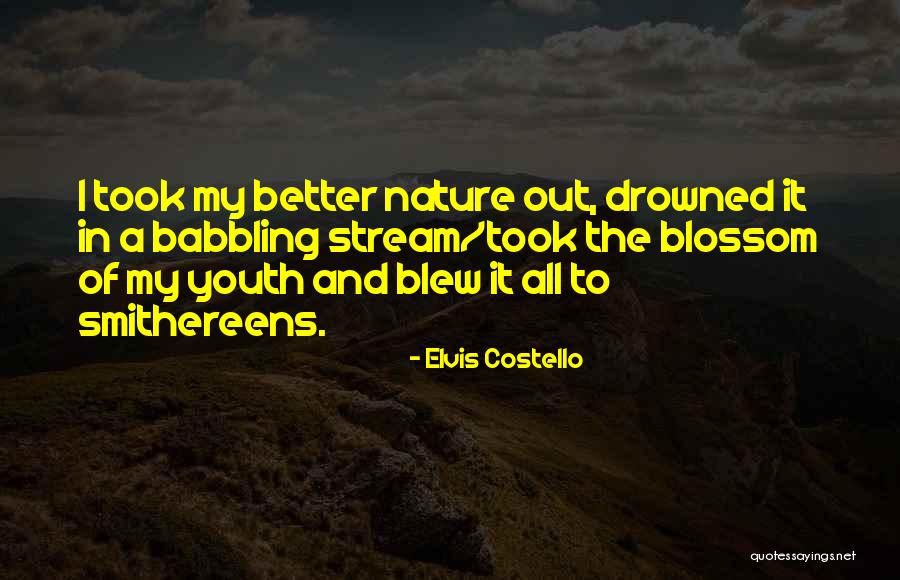 Broderson Carry Quotes By Elvis Costello Broderson Carry Quotes By Elvis Costello