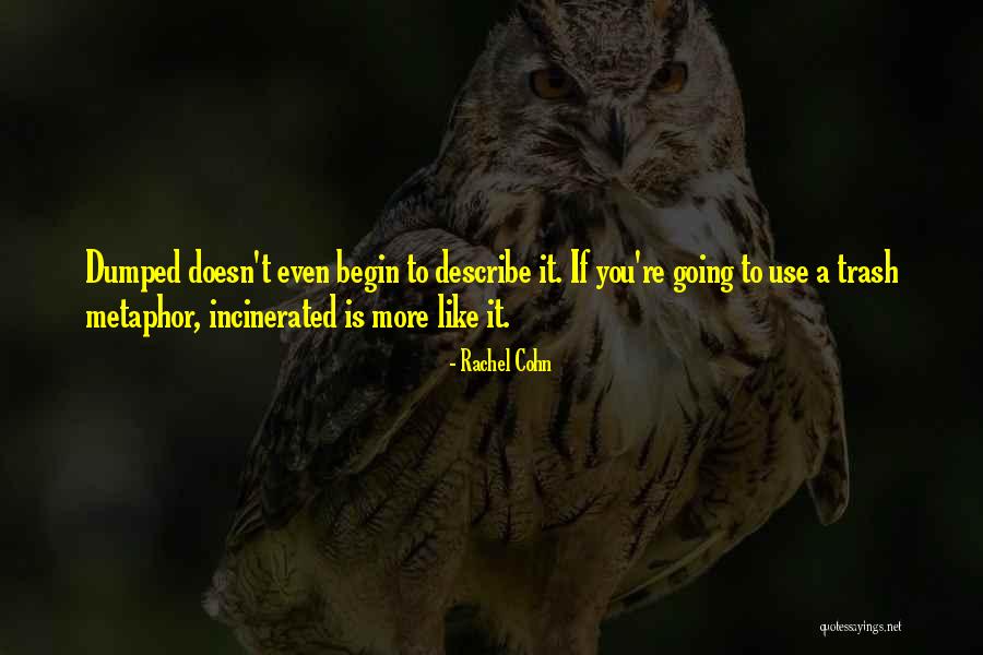 Brodil Syrup Quotes By Rachel Cohn Brodil Syrup Quotes By Rachel Cohn