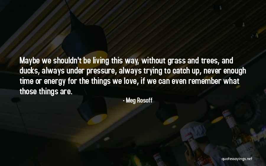 Brodkin Tara Quotes By Meg Rosoff Brodkin Tara Quotes By Meg Rosoff