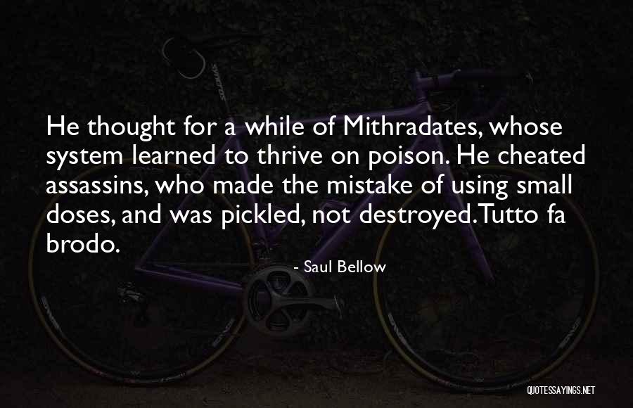 Brodo Quotes By Saul Bellow Brodo Quotes By Saul Bellow