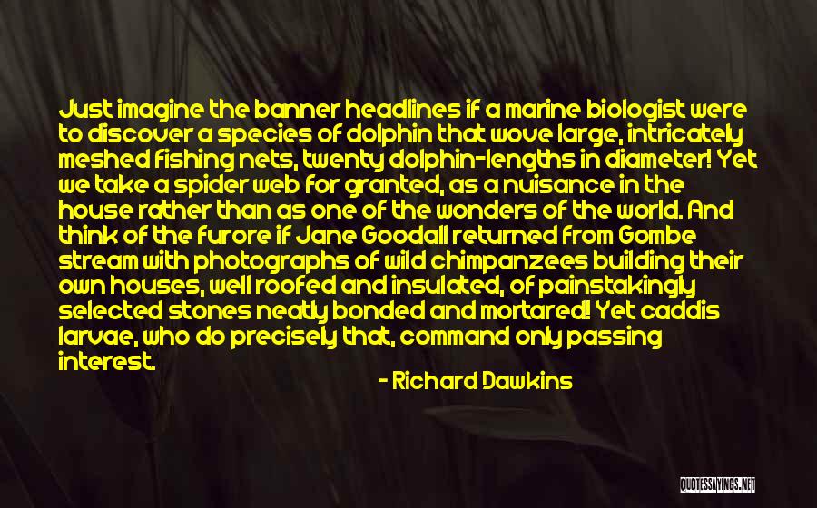 Broekhuizen Amersfoort Quotes By Richard Dawkins Broekhuizen Amersfoort Quotes By Richard Dawkins