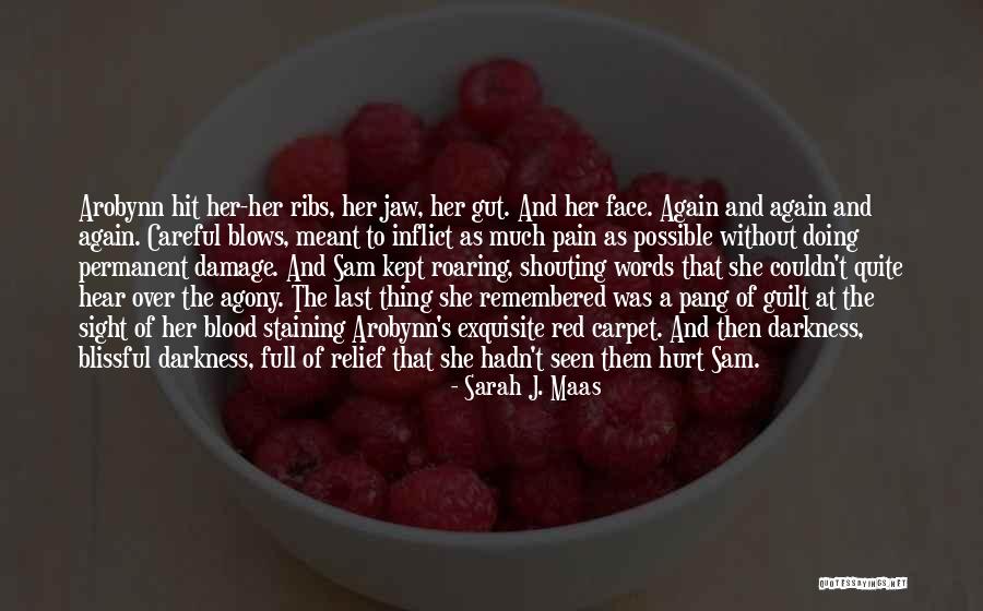 Broekhuizen Freightliner Quotes By Sarah J. Maas