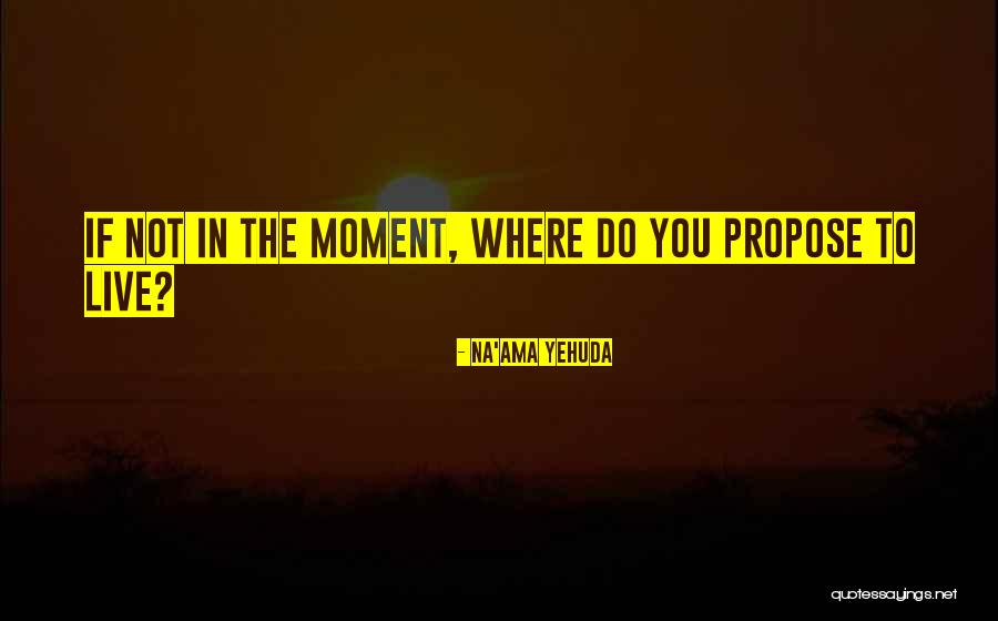 Brogan Mccay Quotes By Na'ama Yehuda