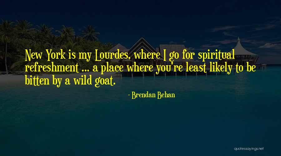 Broger Quotes By Brendan Behan