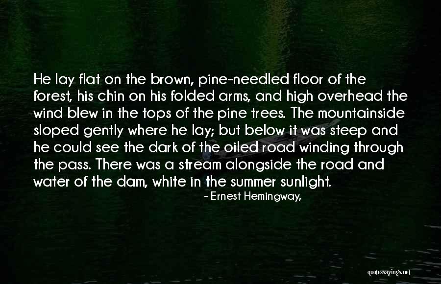 Brojack Quotes By Ernest Hemingway, Brojack Quotes By Ernest Hemingway,