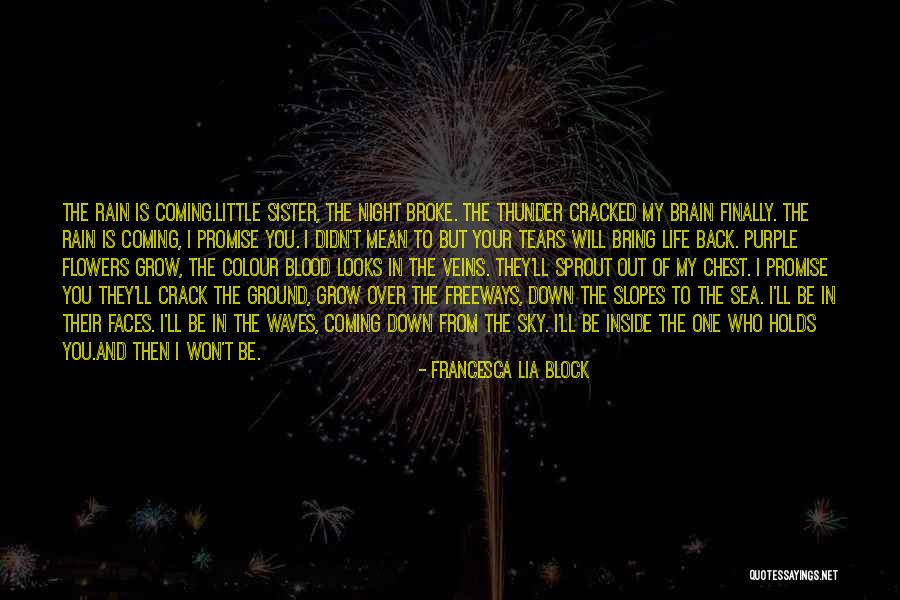 Broke Down In Tears Quotes By Francesca Lia Block