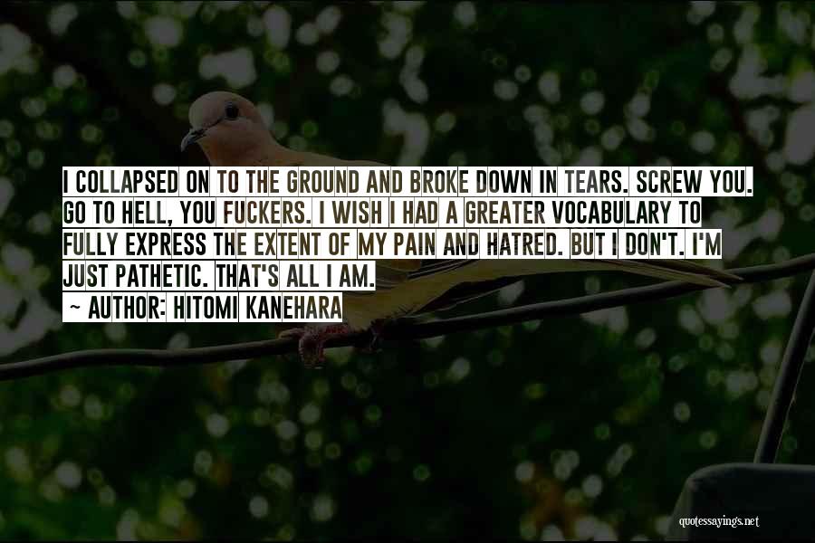 Broke Down In Tears Quotes By Hitomi Kanehara