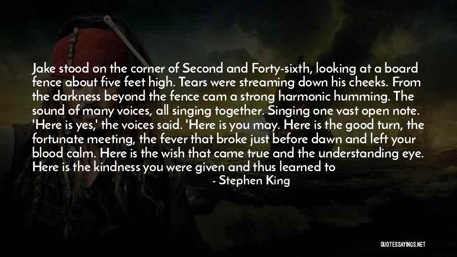 Broke Down In Tears Quotes By Stephen King