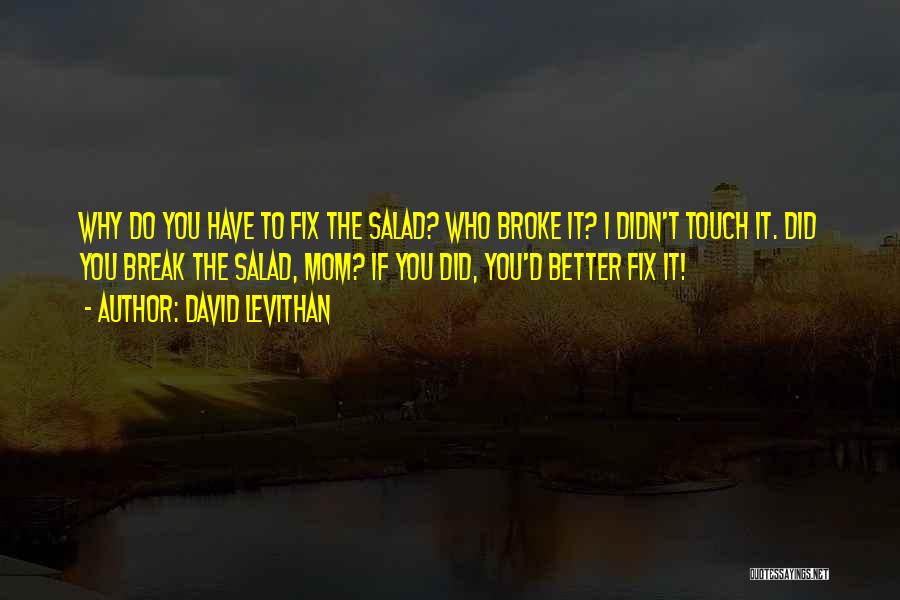 Broke Fix It Quotes By David Levithan