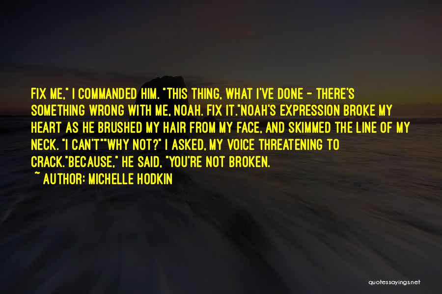 Broke Fix It Quotes By Michelle Hodkin