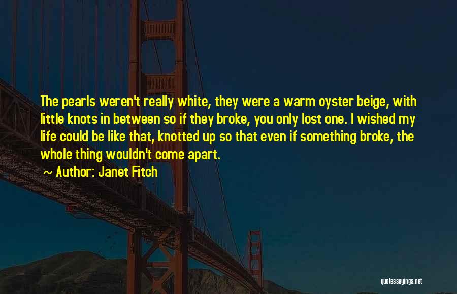 Broke Up Quotes By Janet Fitch