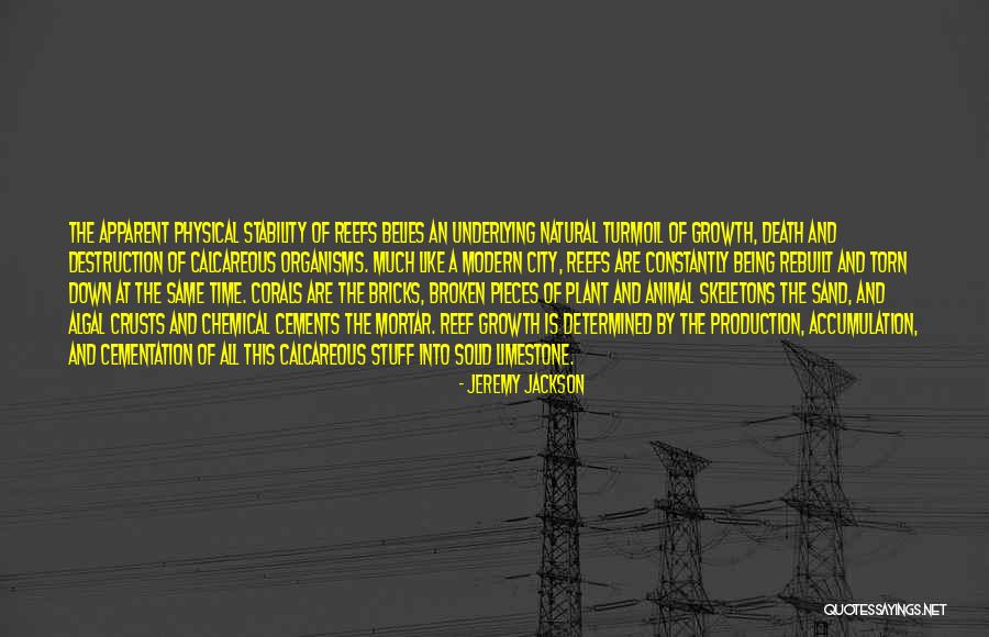 Broken And Torn Quotes By Jeremy Jackson