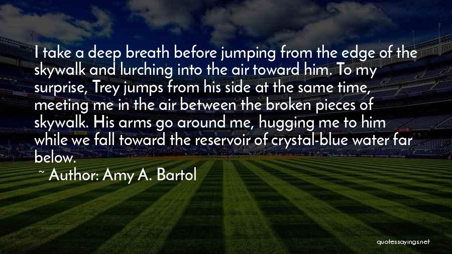 Broken Arms Quotes By Amy A. Bartol