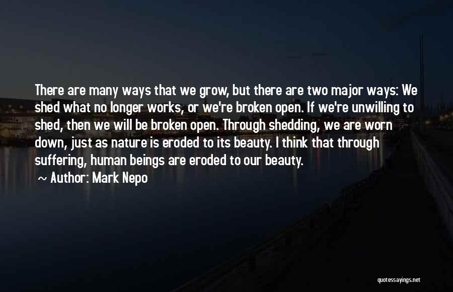 Broken Beauty Quotes By Mark Nepo