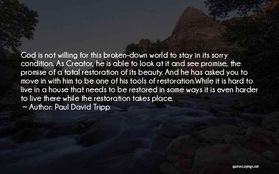 Broken Beauty Quotes By Paul David Tripp