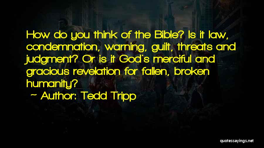 Broken Bible Quotes By Tedd Tripp