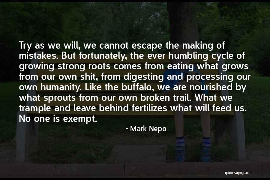Broken But Strong Quotes By Mark Nepo Broken But Strong Quotes By Mark Nepo