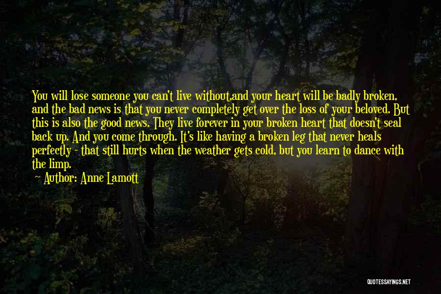 Broken Completely Quotes By Anne Lamott