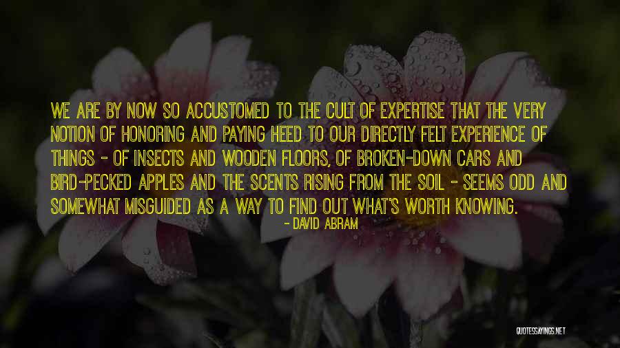 Broken Down Cars Quotes By David Abram Broken Down Cars Quotes By David Abram