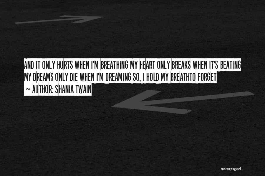 Broken Dreams Quotes By Shania Twain