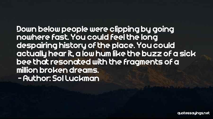 Broken Dreams Quotes By Sol Luckman