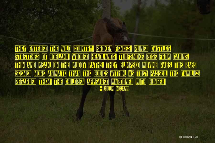 Broken Families Quotes By Colum McCann Broken Families Quotes By Colum McCann