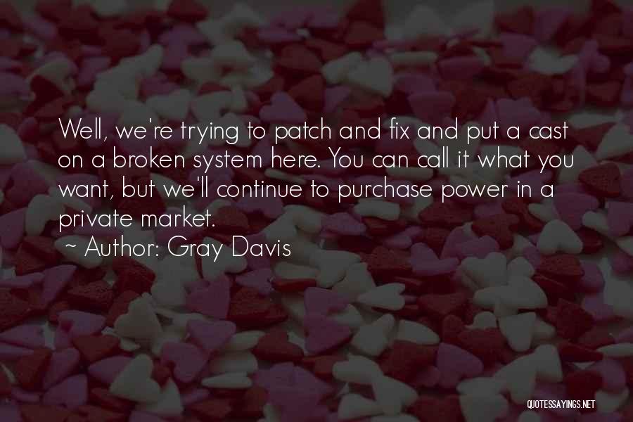Broken Fix It Quotes By Gray Davis