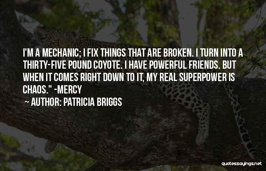 Broken Fix It Quotes By Patricia Briggs