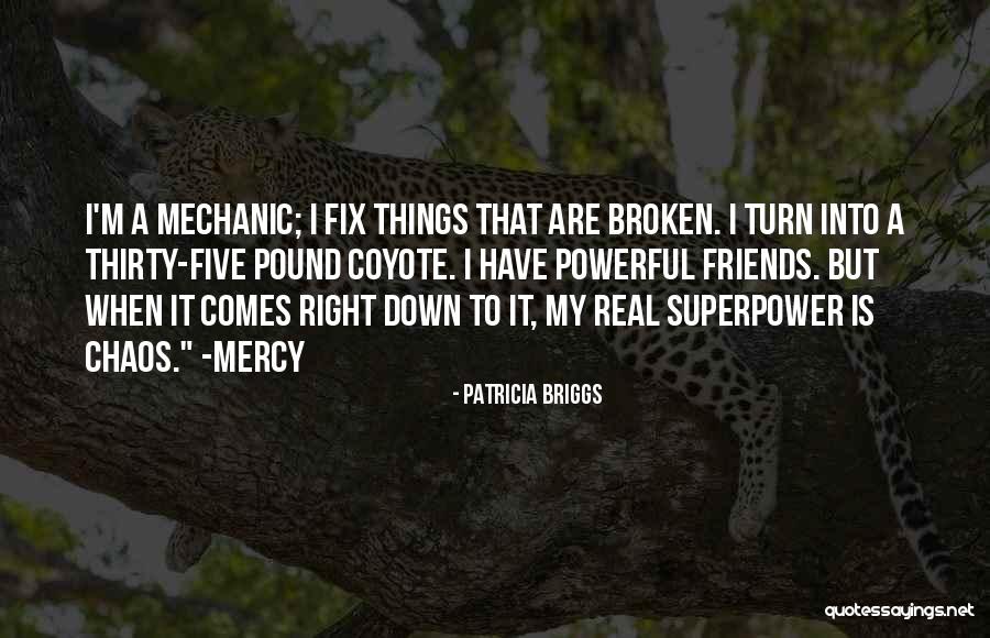 Broken Fix It Quotes By Patricia Briggs