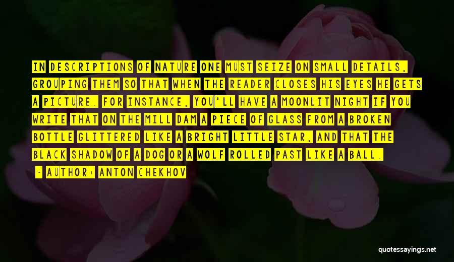 Broken Glass Quotes By Anton Chekhov