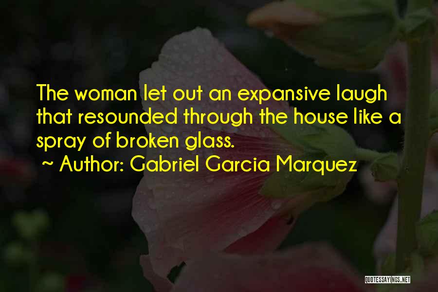 Broken Glass Quotes By Gabriel Garcia Marquez