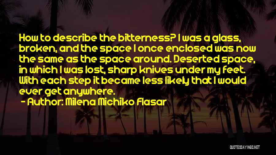 Broken Glass Quotes By Milena Michiko Flasar