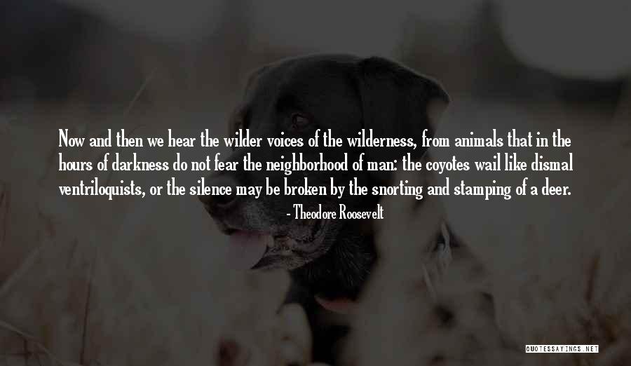 Broken Hear Quotes By Theodore Roosevelt Broken Hear Quotes By Theodore Roosevelt